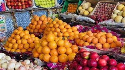 أسعار الفاكهة اليوم الخميس 15 يناير 2026.. استقرار الموز والمانجو البلدي يتصدر المشهد