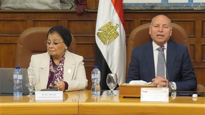 نائب وزير الصحة تشارك في اجتماع المجلس الإقليمي للسكان بالقاهرة برئاسة المحافظ