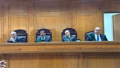 حيثيات الحكم تكشف تورط موظفي تنفيذ بالنيابة ومحامٍ في قضية تزوير