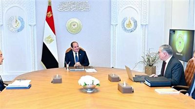 الرئيس عبد الفتاح السيسي يوجه بتكثيف استكشافات الغاز وجذب الاستثمارات التعدينية