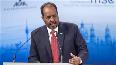 لحماية سيادة الأراضي.. الرئيس الصومالي يبلور تحالفاً أفريقياً لدعم وحدة بلاده