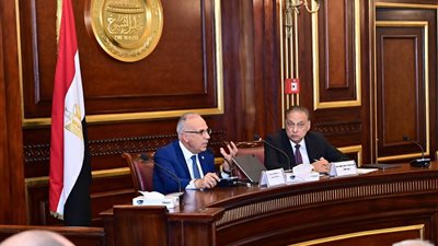 وزير الموارد المائية بمجلس الشيوخ: متابعة دقيقة لسد النهضة وتعزيز التعاون الدولي لإدارة المياه