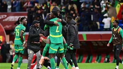 انسحاب ثم عودة.. ماذا حدث في نهائي كأس أمم إفريقيا 2025؟