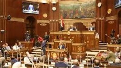 حلول عاجلة للمواطنين.. مجلس الشيوخ يناقش ملفات التصالح والخدمات بـ 5 محافظات