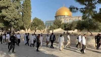 مندوب فلسطين بالجامعة العربية يحذر من التصعيد الإسرائيلي في الأراضي المحتلة