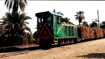 تزامنا مع انطلاق موسم العصير.. تعليمات مشددة لتأمين رحلة القصب من الزراعات حتى المصانع بقنا