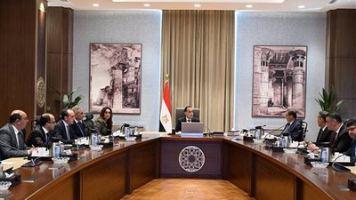 أول تحرك من الحكومة لمواجهة أزمة الكلاب في الشوارع