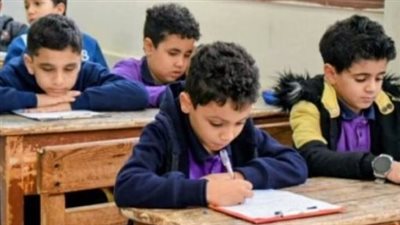 ظهرت الآن.. نتائج الطلاب بالرقم القومي لمراحل النقل بمحافظة القاهرة