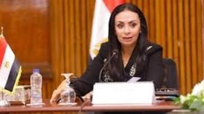  شراكة مصرية كورية.. التضامن الاجتماعي تبحث تعزيز خدمات حماية المرأة مع وكالة 