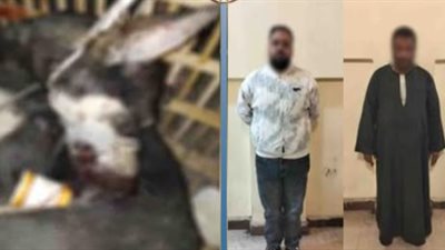 بعد تداول فيديو مثير للجدل.. ضبط المتهمين باحتجاز كلب والتعدي عليه حتى نفوقه