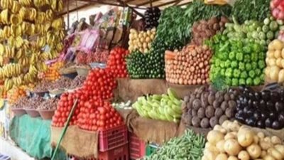 سوق الخضروات والفاكهة 2026.. حقيقة أزمة ورق العنب وخريطة الأسعار قبل شهر رمضان