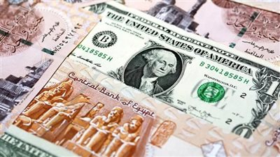  سعر الدولار اليوم في مصر.. حالة من الهدوء والثبات تسيطر على البنوك المصرية في مطلع 2026
