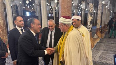 مصر وتونس تتفقان على تعزيز التنسيق الديني والثقافي لمواجهة التطرف