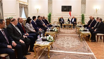 المستشار حسين مدكور: مجلس النواب المصري ركيزة الديمقراطية وسن التشريعات الوطنية