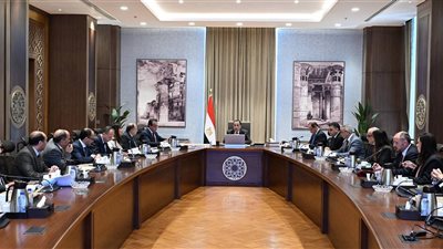 رئيس الوزراء يستعرض موقف توافر الأدوية وسداد مستحقات شركات الدواء لضمان استقرار الخدمات الصحية