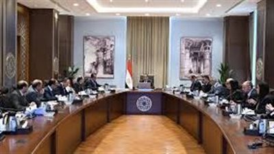 بمليارات الجنيهات.. مدبولي يوجه بسداد مديونيات شركات الأدوية وتأمين المخزون
