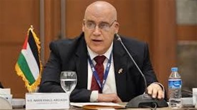 جامعة الدول العربية تطالب من دبلن بتسريع إعمار غزة وتنفيذ حل الدولتين