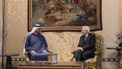 بن زايد يبحث مع الرئيس الإيطالي الشراكة الاستراتيجية وتحديات الاستقرار