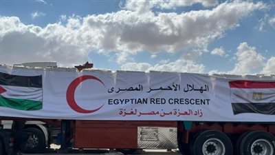 مصر تعزز صمود غزة عبر مساعدات شاملة ومستدامة