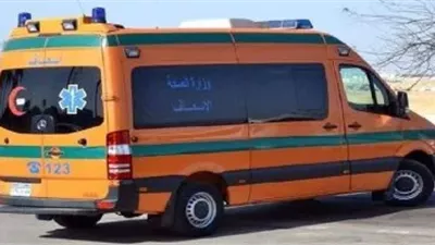 نزيف بالمخ وكسر بالجمجمة.. تفاصيل مصرع طالب في حادث مروع بسمالوط في المنيا