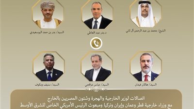 محادثات مصرية حاسمة.. وزير الخارجية ينسق مع قادة الإقليم للحد من التصعيد