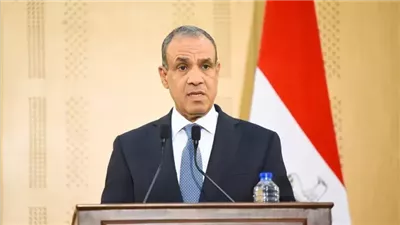 وزير الخارجية: مصر رائدة في مكافحة الفكر المتطرف وتستطيع تصدير تجربتها للعالم