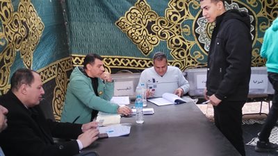 إقبال كبير من المحامين للمشاركة في انتخابات النقابات الفرعية قبل غلق اللجان