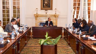 وزير الخارجية يلتقي بممثلي منظمات ومكاتب الاتحاد الإفريقي في مصر