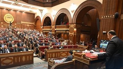 مجلس الشيوخ يناقش حماية الأطفال من مخاطر الإنترنت والإدمان الرقمي