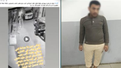 الأمن يكشف تفاصيل منشور كاذب حول تحريض كلب لعقر طفل بالمحلة