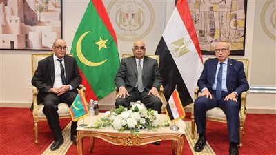 تعزيز التعاون القضائي بين مصر وموريتانيا في المجالات القانونية والقضائية