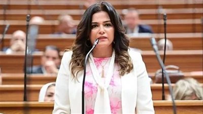 برلمانية: جولة الرئيس السيسي بمشروع مترو الهرم تؤكد أولوية تطوير النقل والسياحة