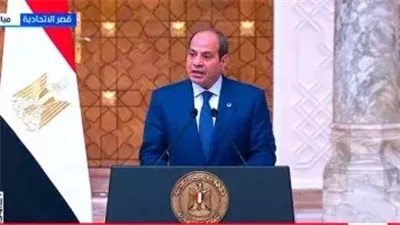 مصر الشريك الأول لتركيا بأفريقيا.. الرئيس السيسي يرسم خارطة استقرار الإقليم