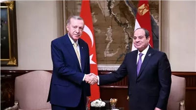 تشمل الطاقة والنقل والسياحة.. أردوغان يكشف رؤيته لتأسيس نموذج اقتصادي مع مصر