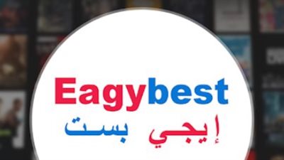الدليل التقني لتشغيل موقع إيجي بست في الدول المحظورة باستخدام VPN لعام 2026