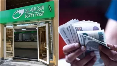 بالرقم القومي فقط.. طرق الاستعلام عن حالة بطاقة صرف تكافل وكرامة 2026
