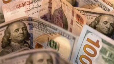استقرار سعر الدولار أمام الجنيه المصري.. قراءة في مؤشرات البنك المركزي اليوم السبت