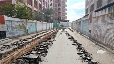  محافظ كفرالشيخ يوجه برصف شوارع مجمع المدارس بقلين