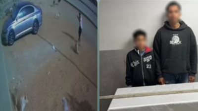 كشف تفاصيل واقعة التعدي على كلب ضال ونفوقه بمدينة 6 أكتوبر