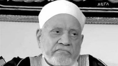 أحمد عمر هاشم.. حائط صد أزهري في مواجهة منكري السنة وتيارات التشكيك