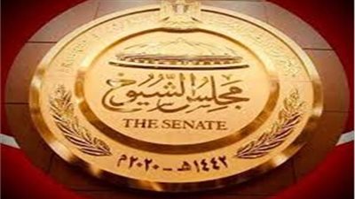 عدالة السوق.. 