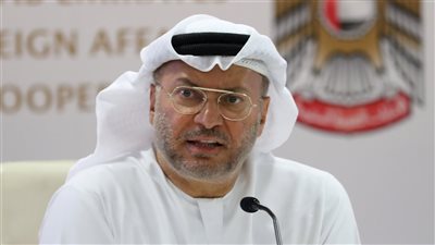 العلاقات الإماراتية المصرية تحتل الصدارة.. قرقاش يكشف عن محاور زيارة السيسي