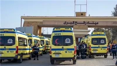 الهلال الأحمر المصري يستقبل الدفعة الـ38 من المرضى والمصابين من قطاع غزة