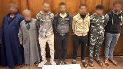 فيديو على السوشيال ميديا يكشف خيوط مشاجرة دامية بطنطا.. والأمن يضبط المتهمين