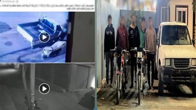 «ربع نقل» لسرقة الدراجات النارية.. سقوط تشكيل عصابي بطنطا