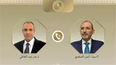 تنسيق مصري أردني.. وزير الخارجية يبحث مع نظيره الأردني خطة 