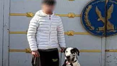 مشاجرة بالقاهرة تنتهي بإصابة طالب بسبب هجوم كلب غير مرخص