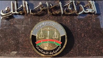 القضاء يضرب تشكيلاً دولياً حاول سرقة 3 ملايين دولار من شركة مصرية