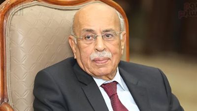 محمد أبو العينين : مفيد شهاب سطر اسمه بحروف من نور في تاريخ الدفاع عن الوطن