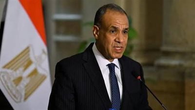 مصر تؤكد ثوابتها بشأن القضية الفلسطينية في مجلس الأمن